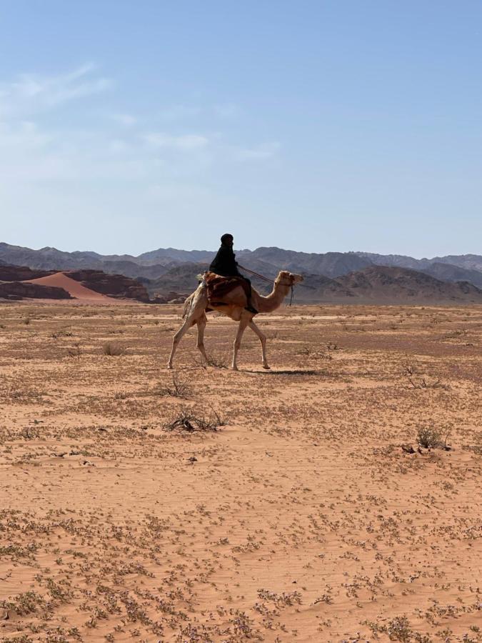 Wadi Rum Desert Camp Exterior foto